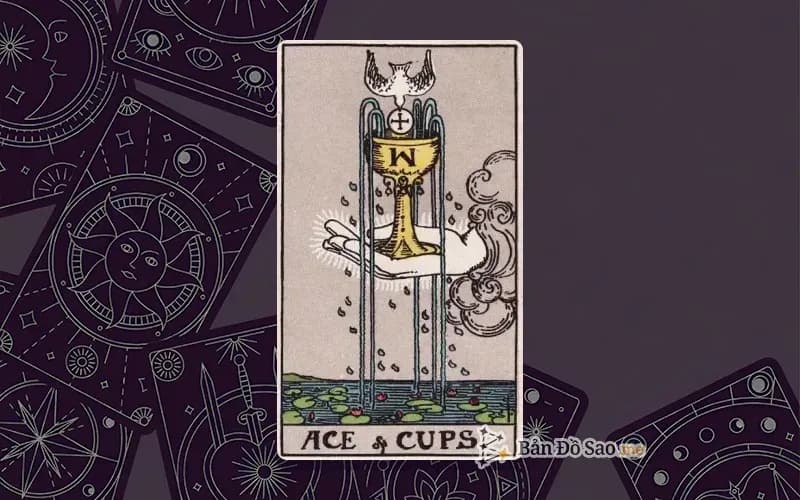 Lá bài Tarot Ace of Cups trong bộ Rider Waite Smith với ý nghĩa về tình yêu mới và cảm xúc thuần khiết