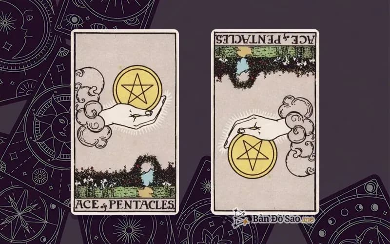 Lá bài Ace of Pentacles xuôi và ngược, so sánh chiều