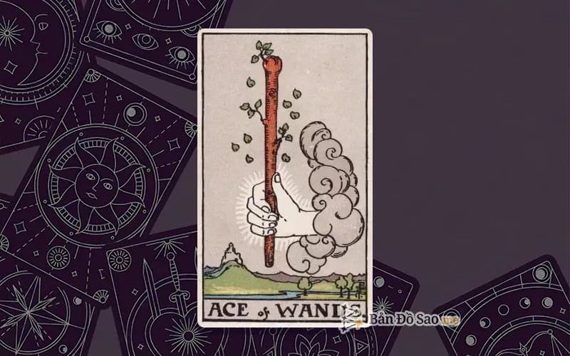 Lá bài Tarot Ace of Wands trong bộ Rider Waite Smith với ý nghĩa cơ hội mới, sáng tạo và khởi động