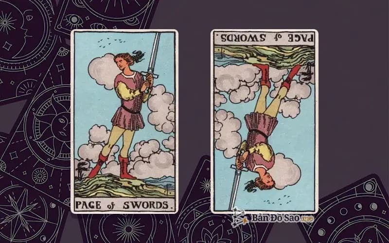 Lá bài Page of Swords xuôi và ngược, so sánh chiều