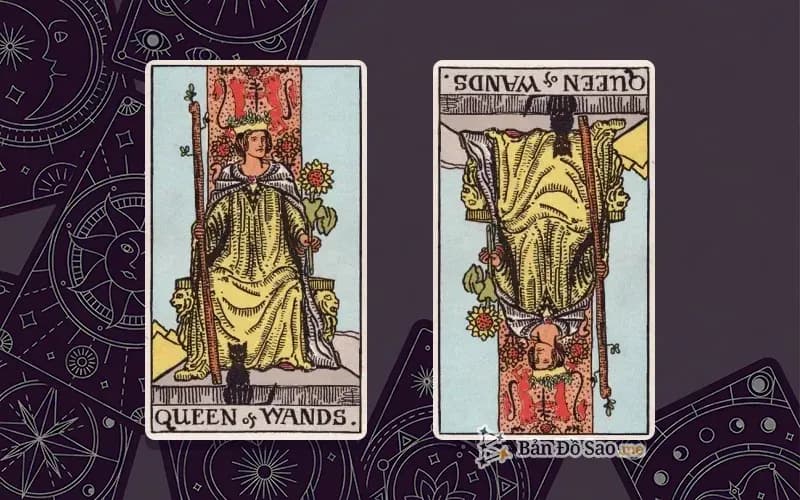 Lá bài Queen of Wands xuôi và ngược, so sánh chiều