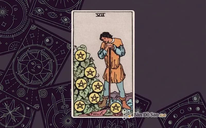Lá bài Tarot Seven of Pentacles trong bộ Rider Waite Smith với ý nghĩa cố gắng, kiên nhẫn và đánh giá