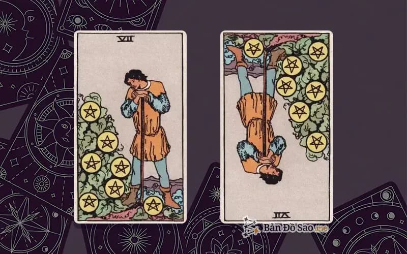 Lá bài Seven of Pentacles xuôi và ngược, so sánh chiều