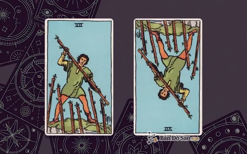 Lá bài Seven of Wands xuôi và ngược, so sánh chiều