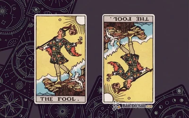 Lá bài The Fool xuôi và ngược, so sánh chiều