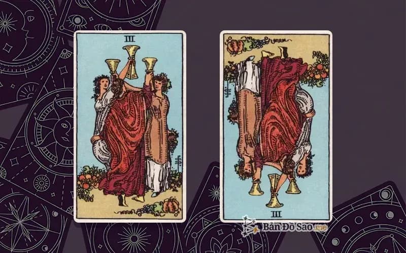 Lá bài Three of Cups xuôi và ngược, so sánh chiều