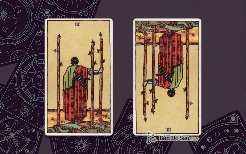 Lá bài Three of Wands xuôi và ngược, so sánh chiều