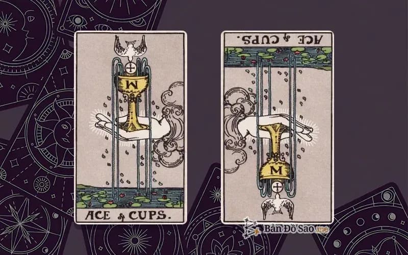 Lá bài Ace of Cups xuôi và ngược, so sánh chiều