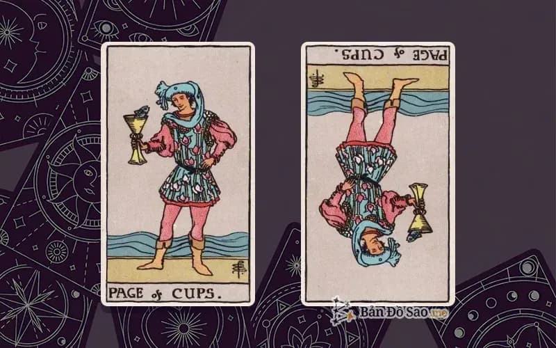 Lá bài Page of Cups xuôi và ngược, so sánh chiều