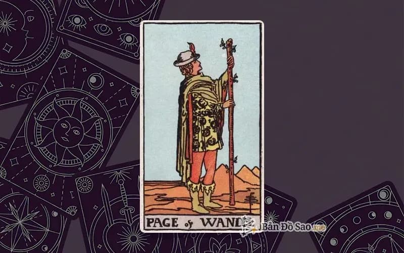 Lá bài Tarot Page of Wands trong bộ Rider Waite Smith với ý nghĩa tò mò, khám phá và cảm hứng mới