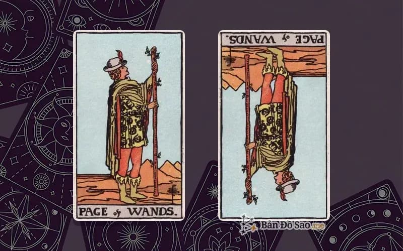 Lá bài Page of Wands xuôi và ngược, so sánh chiều